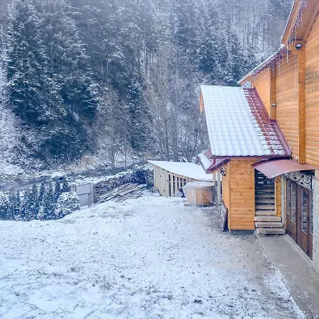 Ladna Bukovel Villa *