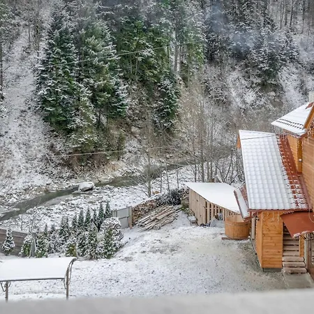 Villa Ladna Bukovel