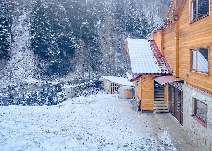 Ladna Bukovel 别墅 *