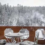 Ladna Bukovel Villa