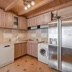 Ladna Bukovel Tatariv