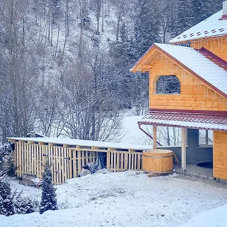 Ladna Bukovel 别墅